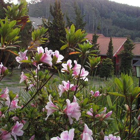 Pousada Flores Da Serra Monte Verde  Exterior foto